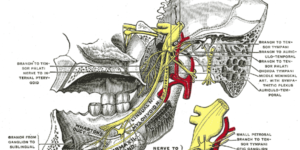 fisioterapia mandibola palermo