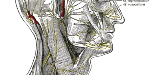 paralisi facciale fisioterapia palermo